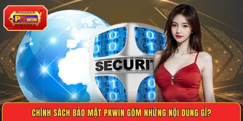 chinh-sach-bao-mat-pkwin-gom-nhung-noi-dung-gi