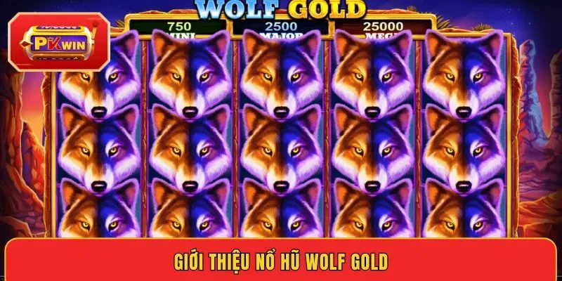 gioi-thieu-no-hu-wolf-gold