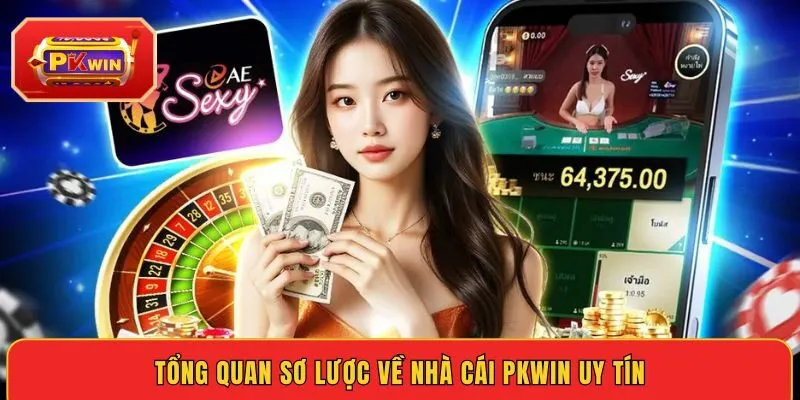 tong-quan-so-luoc-ve-nha-cai-pkwin-uy-tin